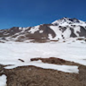 Meet your Posher, Charles